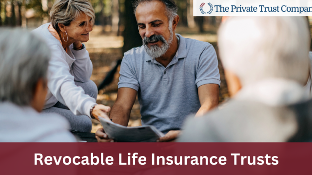 <strong>Life Insurance Trust: Revocable</strong>